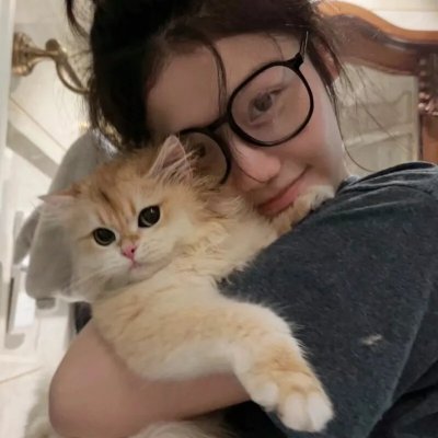 蔷薇处处香